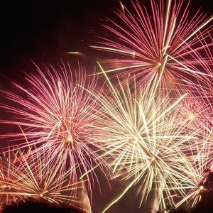 Meet your Posher, Ella